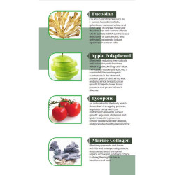 Purtier Livecell Therapy 7th Edition – antiossidanti