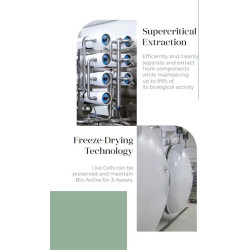 Purtier Livecell Therapy 7th Edition – antiossidanti