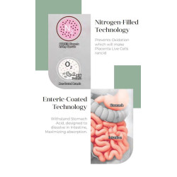 Purtier Livecell Therapy 7th Edition – antiossidanti